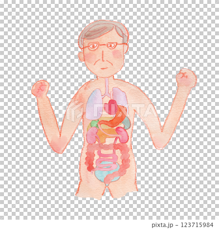 元気な高齢の男性と内臓の水彩イラスト 元気な高齢の男性と内臓の水彩イラスト 123715984