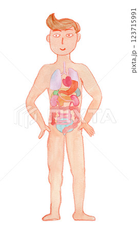 元気な男性と内臓の水彩イラスト 123715991