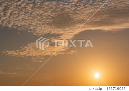 【静岡県】中田島砂丘・日の出の空 【静岡県】中田島砂丘・日の出の空 123716035