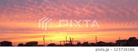 オレンジ色に染まる夕焼空 123716166