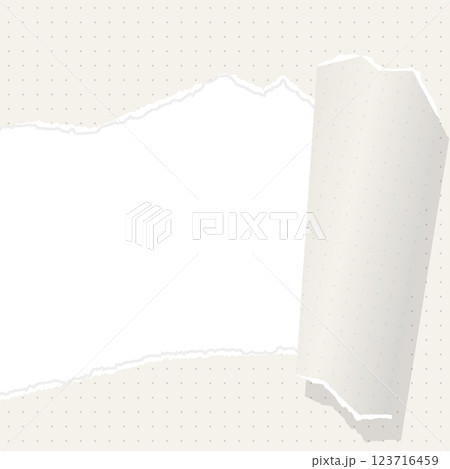 破れた方眼用紙の背景フレーム、ドットのグリッド、ノート、正方形サイズ 123716459