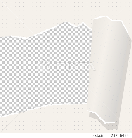 破れた方眼用紙の背景フレーム、ドットのグリッド、ノート、正方形サイズ 123716459