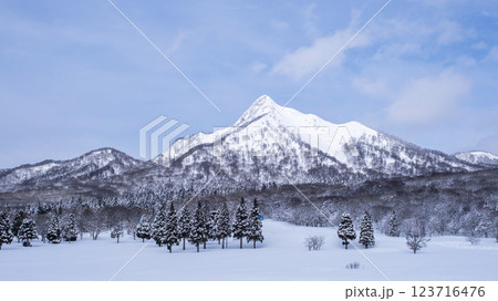 鏡ヶ成の雪景色 鏡ヶ成の雪景色 123716476
