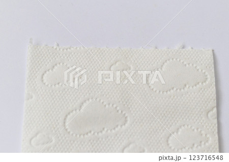 Shot of the toilet paper pattern 123716548