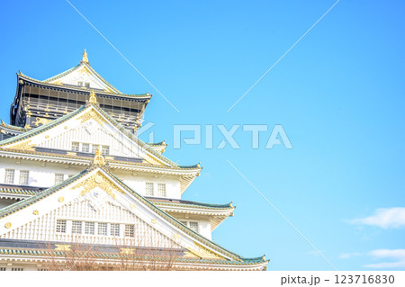 大阪城の天守閣 123716830
