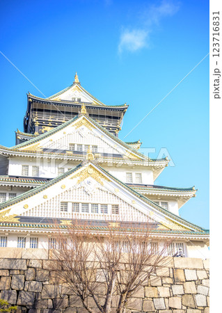 大阪城の天守閣 123716831