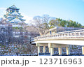 大阪城の極楽橋 123716963