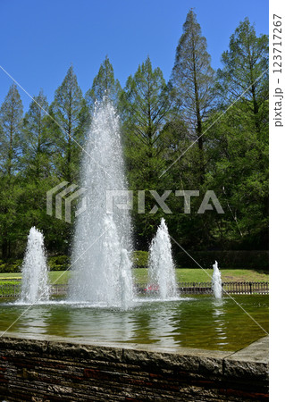 相模原公園の噴水 123717267