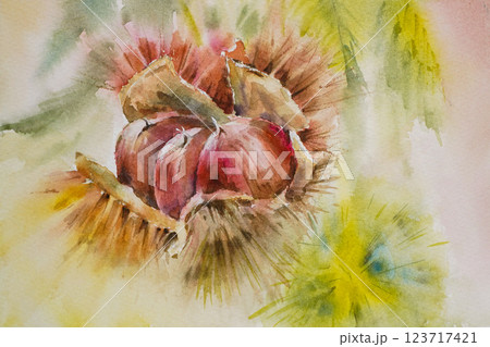 くり　水彩画　 123717421