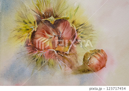 くり　水彩画　 123717454
