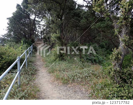 九州最東端 123717782