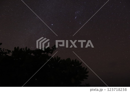 夏の夜空 123718238