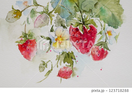 いちご　果物　 123718288