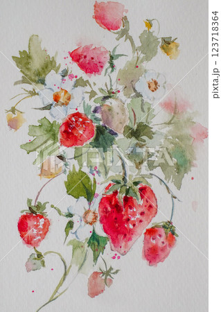 いちご　果物　 123718364