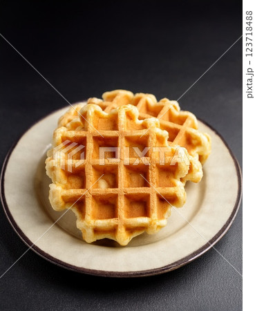 単体で配置されたベルギーワッフル 123718488