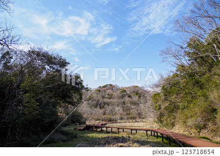 晴れた日の小網代の森の散歩道 晴れた日の小網代の森の散歩道 123718654