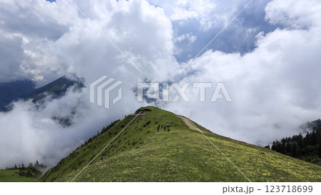 Footage of alpine meadows above tree line and cloudy blue sky. Footage of alpine meadows above tree line and cloudy blue sky. 123718699