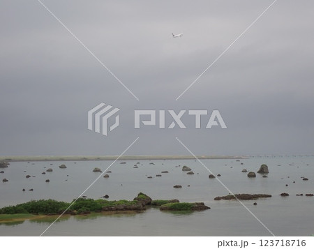 魚垣 123718716