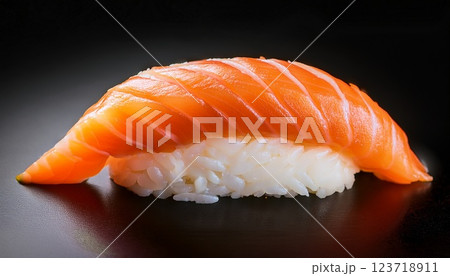 リアルなサーモンの握り寿司 リアルなサーモンの握り寿司 123718911