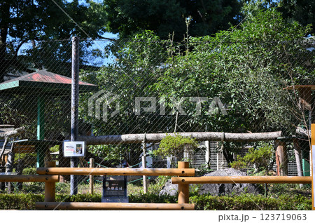 レッサーパンダ　展示場の風景　ヒノトントンZOO(羽村市・羽村市動物公園) 123719063