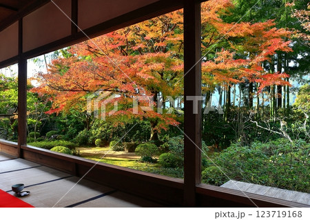 【京都府】宝泉院の額縁庭園の紅葉(京都大原) 【京都府】宝泉院の額縁庭園の紅葉(京都大原) 123719168