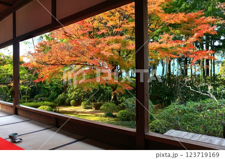 【京都府】宝泉院の額縁庭園の紅葉（京都大原） 123719169