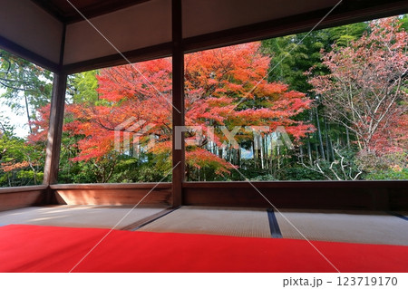 【京都府】宝泉院の額縁庭園の紅葉（京都大原） 123719170