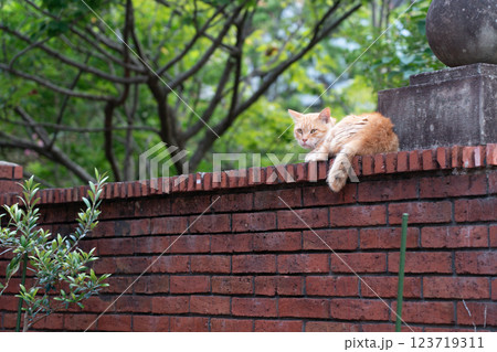 何か用？ 123719311