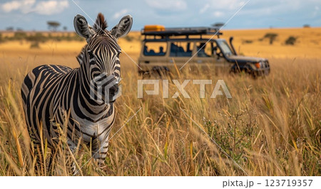 Wild zebra in yellow grass and car with tourists on safari summer holiday background.AI Generative 123719357
