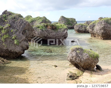 大神島 123719657
