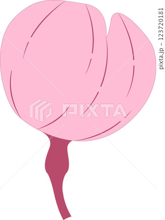 さくら 123720181