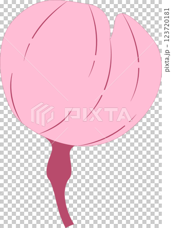 さくら 123720181