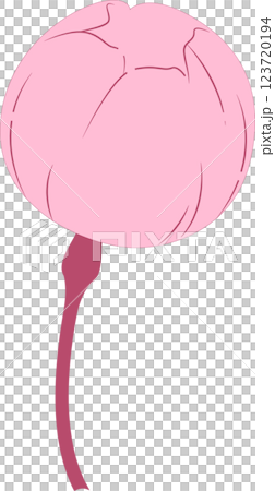 Cherry Blossoms   123720194