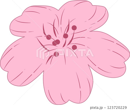 さくら さくら 123720229