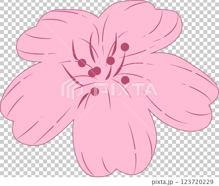 さくら さくら 123720229