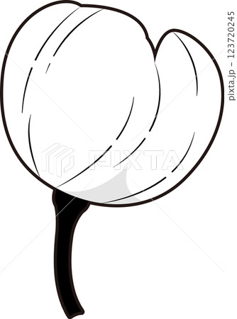 さくら さくら 123720245