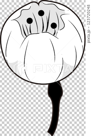 櫻花 櫻花 123720248