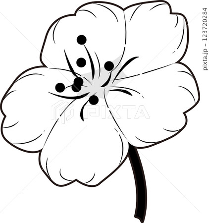 さくら さくら 123720284