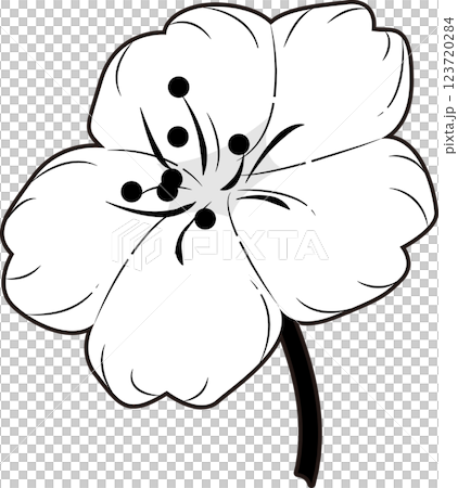 さくら さくら 123720284