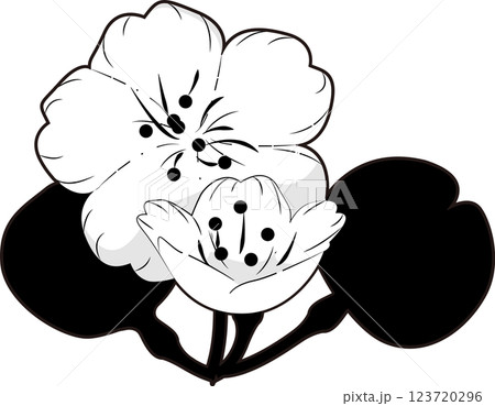 さくら さくら 123720296