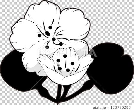 さくら さくら 123720296