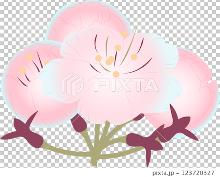 さくら 123720327