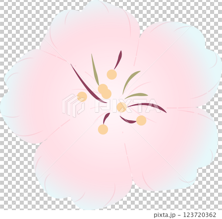 さくら 123720362