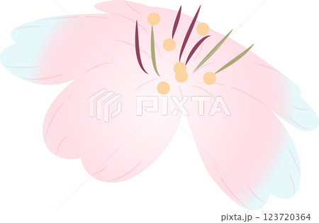 さくら さくら 123720364