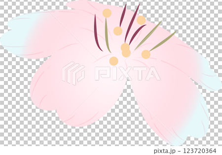 さくら さくら 123720364