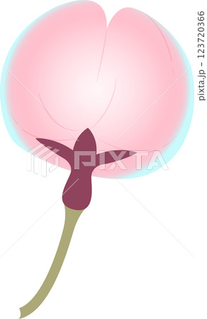 さくら さくら 123720366