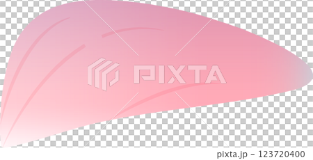 Cherry Blossoms   123720400