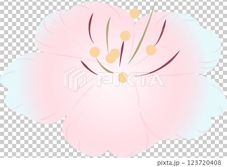 さくら さくら 123720408