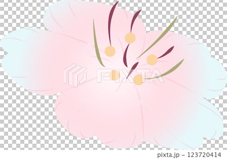 櫻花 櫻花 123720414