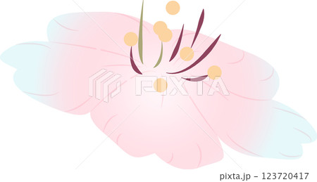 さくら さくら 123720417